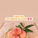 박씨농장 이미지