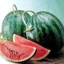 두통, 편두통 .. 가라 앉히는 데 좋은 식품 12가지 이미지