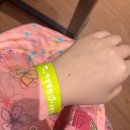 수 가축병원 | 양주 나무정원여성병원 계류유산 소파술 후기 : 수술후 운전 바우처 사용 등