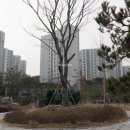 강남-122 이미지