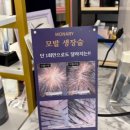 구미 여성 가르마 탈모커버 더블라인스칼프 내돈내산 후기 괜히 진작 받을 걸 싶었던 이유