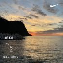 해담약국 | feat. 도보&amp;버스)- 3일차 (돌섬식당, 도동항 산책, 울릉해담길 트레킹, 학포해변 스노쿨링, 울릉도 먹파리)