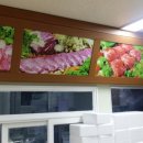 영주축협한우프라자 Daum카페