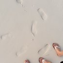 럭키빌라 | [몰디브 럭셔리 리조트] 아야다 2일차 - 럭키돌핀 스노쿨링, 제로디그리, 오션브리즈