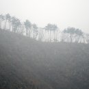 신대교 옆 공터 이미지