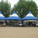 상주초교 이미지