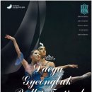 대구경북발레페스티벌 이미지