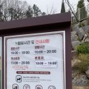 안성시민의 날 기념음악회 | 용인 자작나무숲 방문 후기 개화상황 애견동반가능