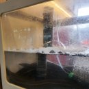 지수만풍천민물장어 이미지