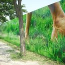 진흥디자인 - 경주시 원효로 186 | 진흥디자인