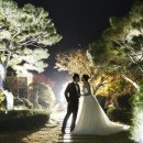 그레이스하우스 이미지