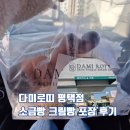 다미로띠