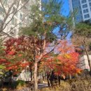 흥덕신동아박사공인중개사사무소 이미지