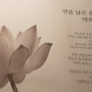 연을 담은 돈까스 네이버블로그