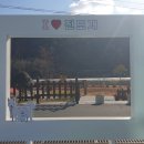 보배농장 | [진도여행] 진도개 테마파크 공연관람 &amp; 보배섬 국화축제 다녀온 후기 공유