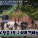 청소년 10명 중 1명, 마약류 진통제 '펜타닐 패치' 경험 이미지