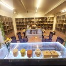 아름다운 애견 이미지