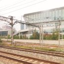 고봉민 김밥 세곡점 | [2019.11.02] 두달을 기다려서 보게된 세카이노오와리 내한콘서트 공연후기! 꿈같던 시간!!