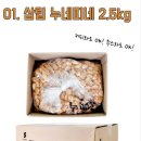 누네띠네광고