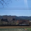 용화 보건지소 이미지