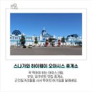 J-076 | [일본 여행] 삿포로 근교 당일치기, 3월 비에이 버스투어 알아보기