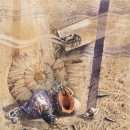 생명의소리Ⅰ 이미지