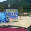 밀양반딧불이 이미지