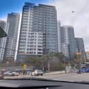 중앙보조기 | 신생아 아기 내반족 치료 교정 병원 어디로? 중앙대병원 소아정형외과 진료후기