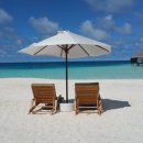 까미노데플로레스타2 이미지