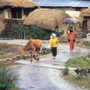 상춘농장 이미지