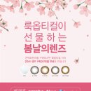 룩옵티컬 이미지