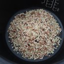 고대미농장 | 고대미농부 가바현미, 고대미가 찰현미로 건강한 현미밥짓기