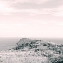 녹산등대가는길 이미지