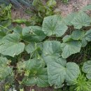 빈이농장 이미지