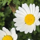 세존 - 달서구 성당로 125 | 세존