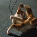 보오구 | 내일이면 개.강. 이야^ㅠ^