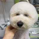 그루밍나인 이미지