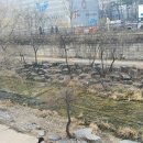 새터민행정사 네이버블로그