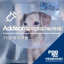 아람 동물병원 이미지