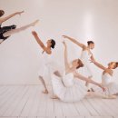 성인발레핏 이미지