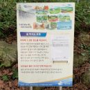 냉천골약수터 이미지