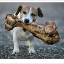 에스지부동산중개 이미지