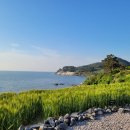 카페보리다