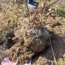 이기봉농장 이미지