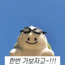 신포차 네이버블로그