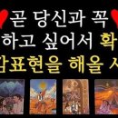 와우와우 이미지