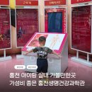 힐스템생활건강홍천점 | 홍천 아이랑 가볼만한곳ㅣ 홍천생명건강과학관 실내 체험 3D 영상관 수유실 총정리