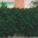 서울시립미술관 자치구 협력전시 <집요한 손> | 무료서울전시회 서울시립미술관 관악문화재단 협력전시 <SeMA Collection: 정교한 손> 미술전시