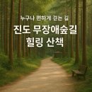 진도 사천리 무장애숲길 🌿｜누구나 걷기 좋은 평탄한 힐링 산책길