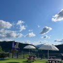 홍시식당 이미지